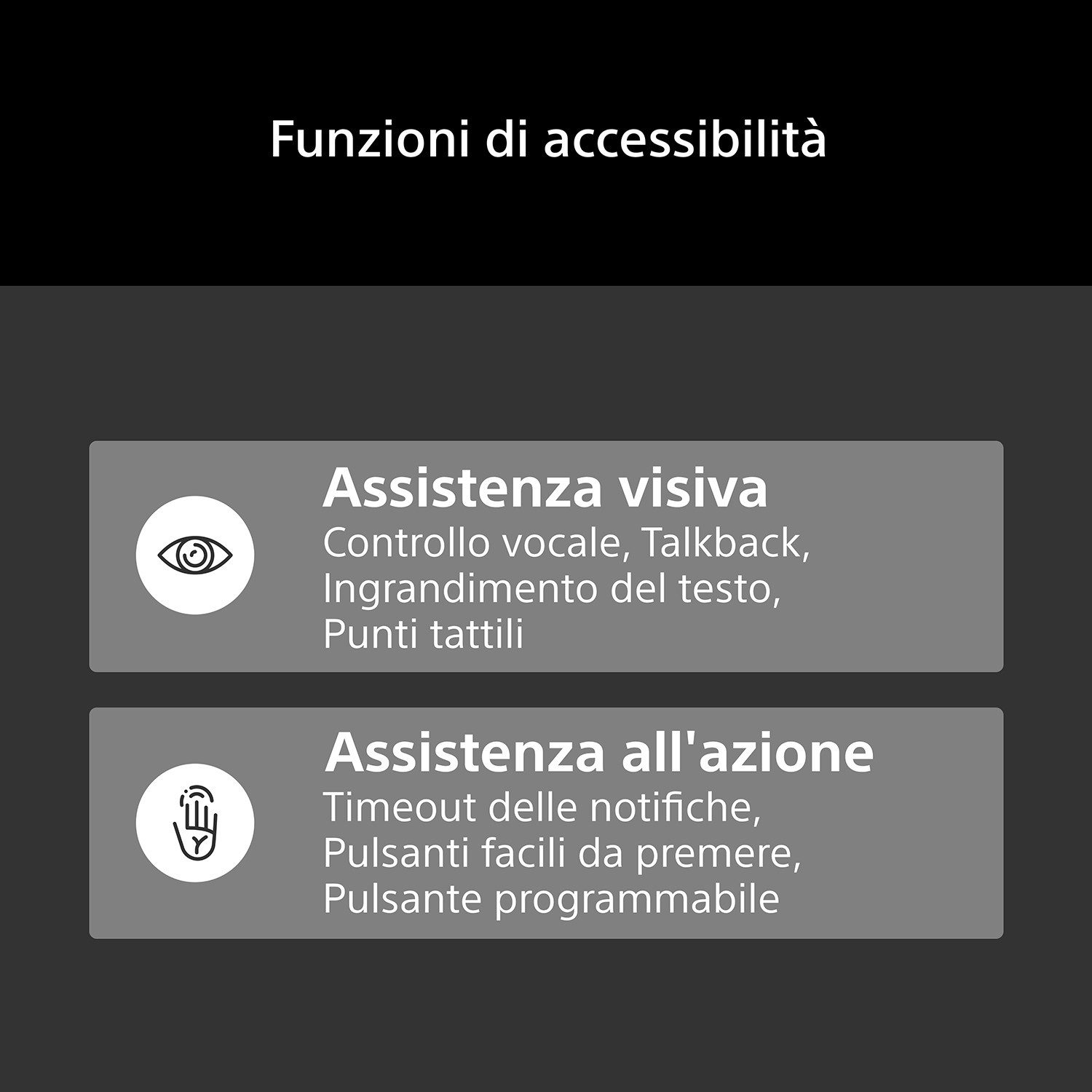 Funzioni di accessibilità: Assistenza visiva e all'azione con icone.