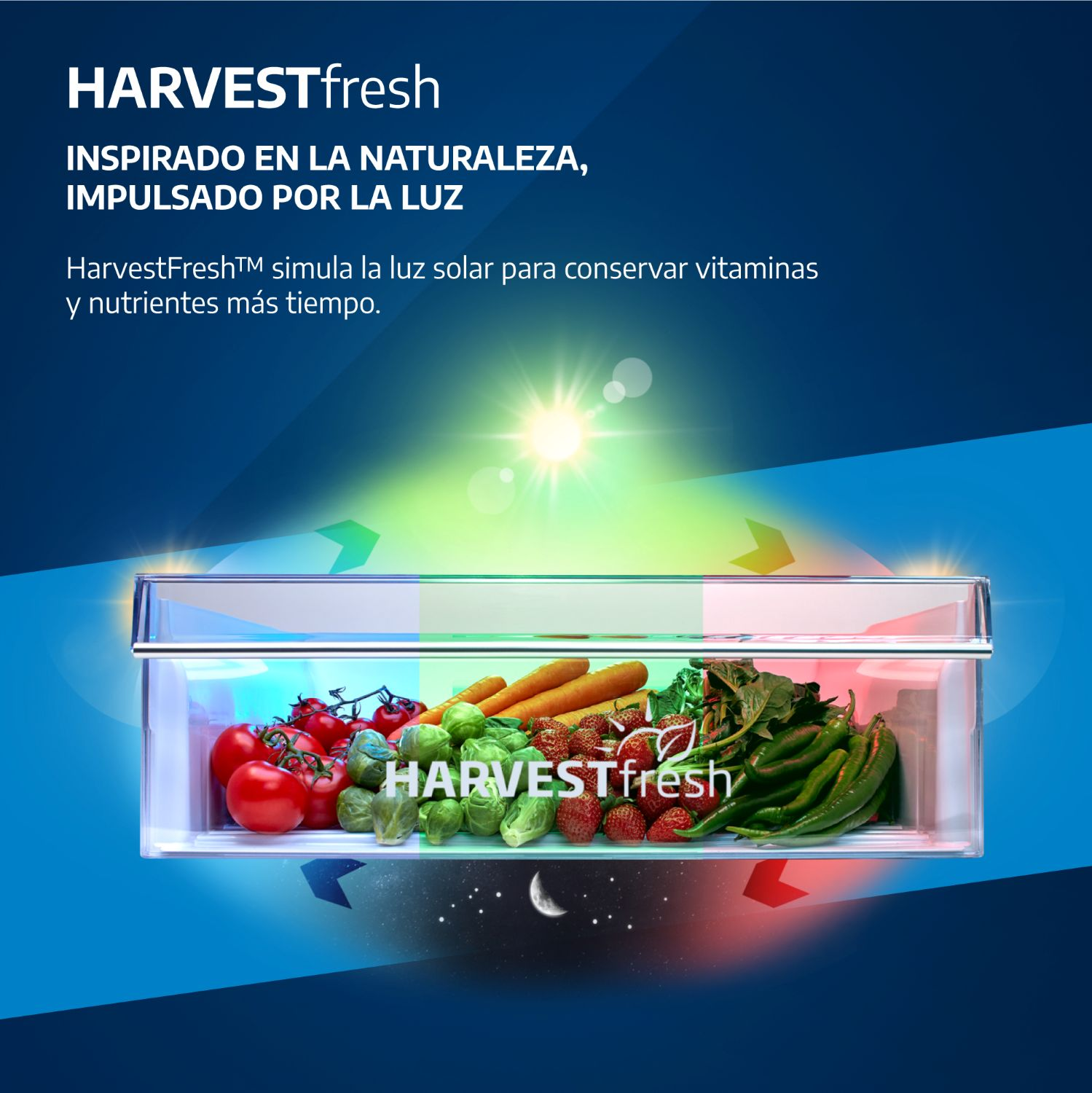 Cajón de nevera con frutas y verduras, simulando luz solar. Día y noche.