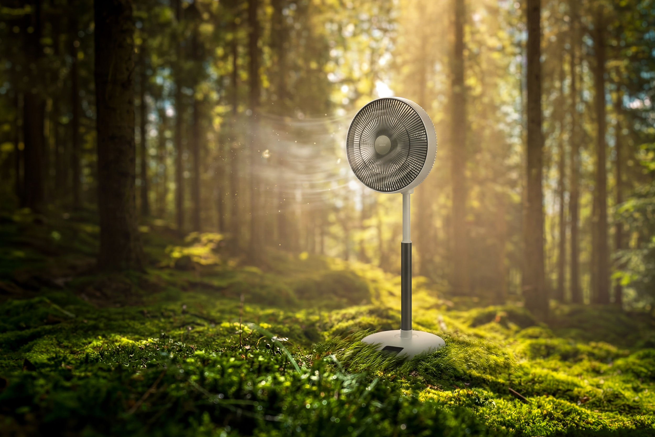 Egy ventilátor áll az erdőben mohos talajon, napsugarak szűrődnek át a fákon.