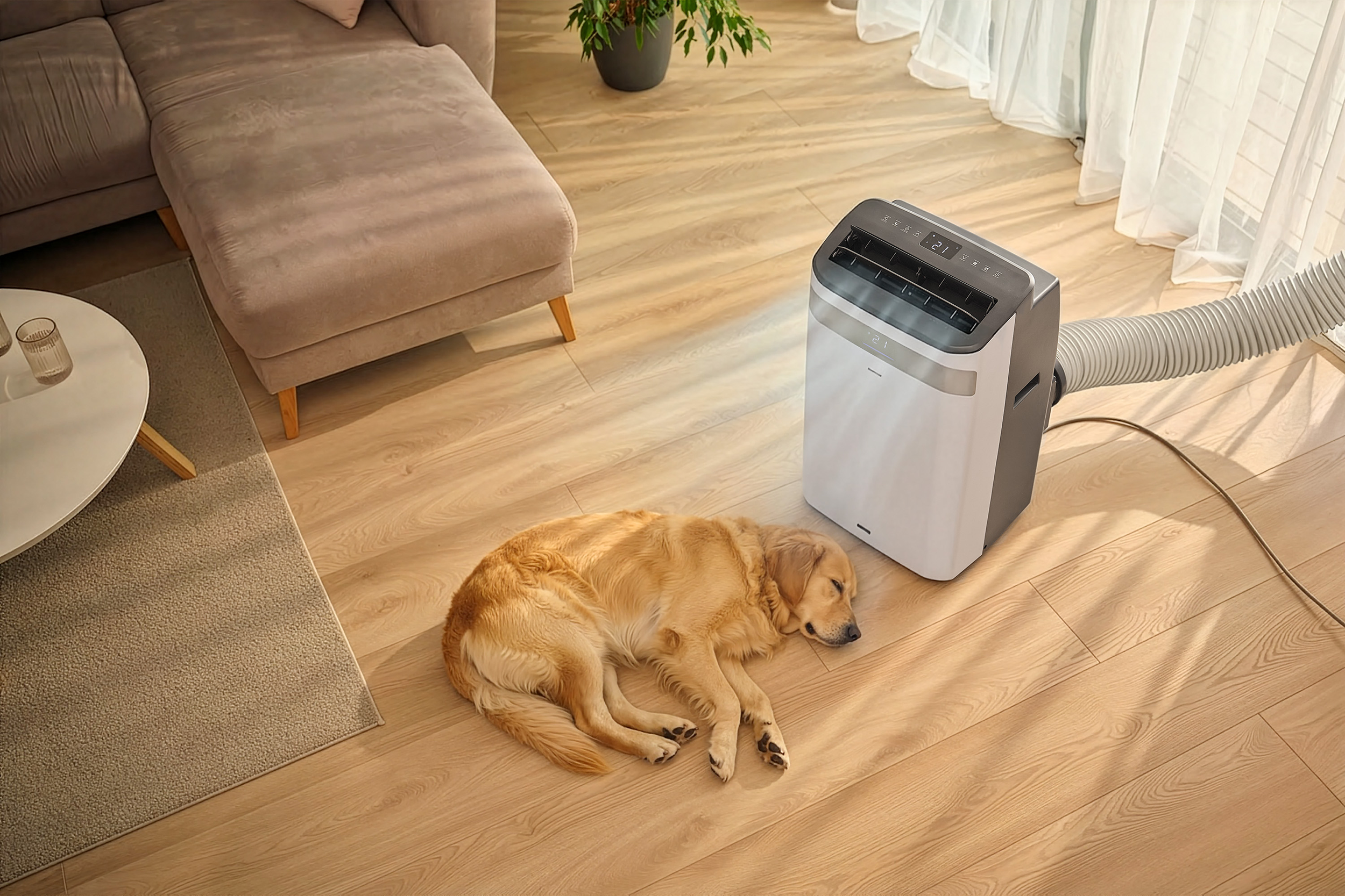 Egy Golden Retriever alszik parkettán egy hordozható légkondicionáló mellett.