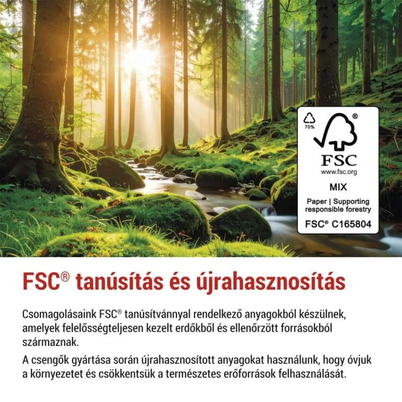 Napfényes erdő patakkal, mohával és FSC logóval.