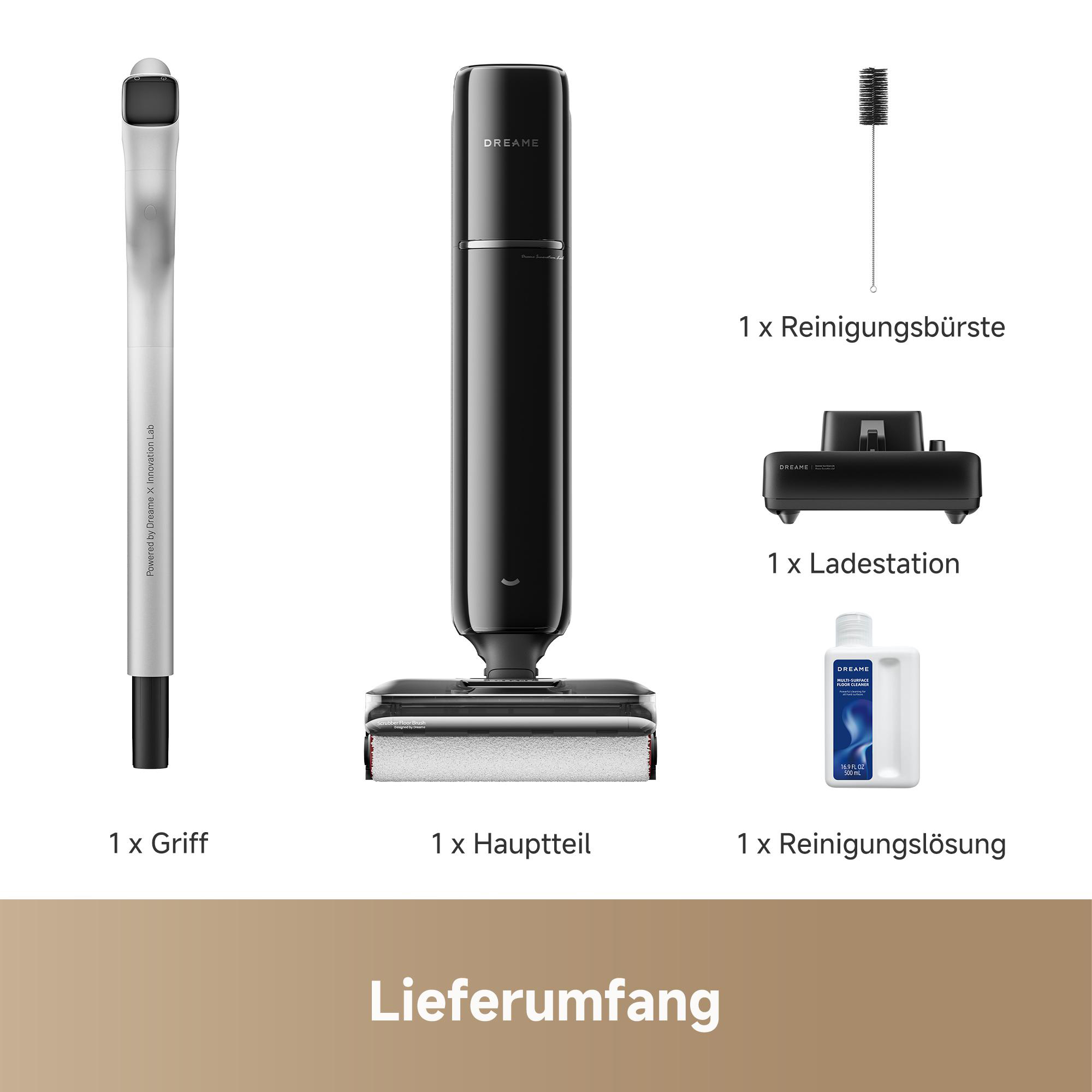 Inhalt: Silberner Griff, schwarzes Hauptteil des Staubsaugers, Bürste, Ladestation, Reinigungslösung.