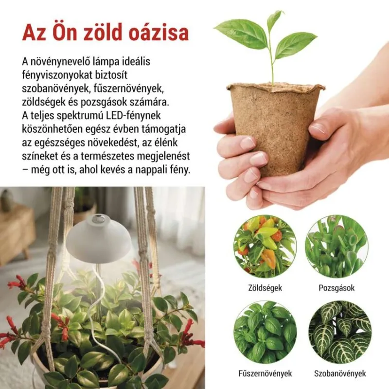 Kezek palántát tartanak. Lent: növényi lámpa cserepes növény felett, négy növénykép.