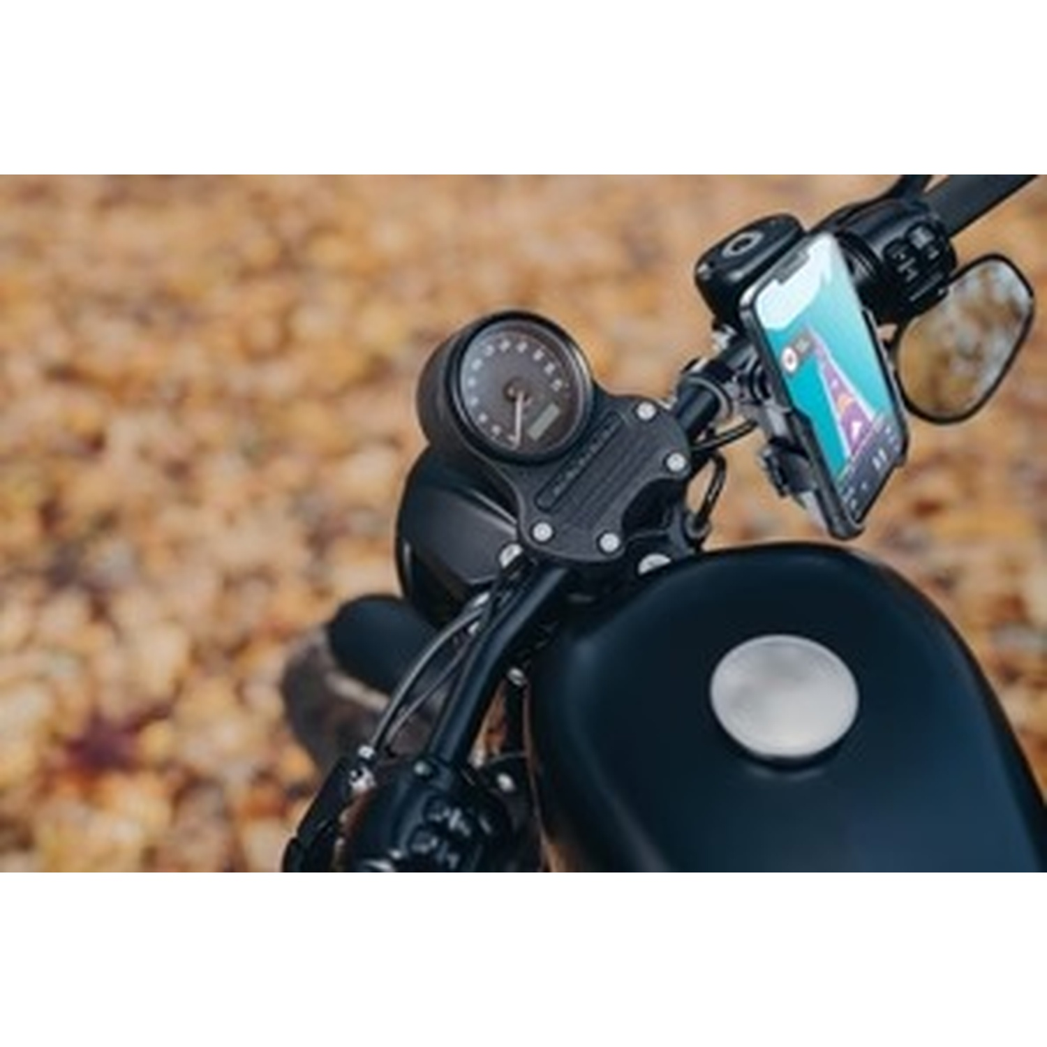 Serbatoio moto con supporto telefono e tachimetro, foglie autunnali sfondo.