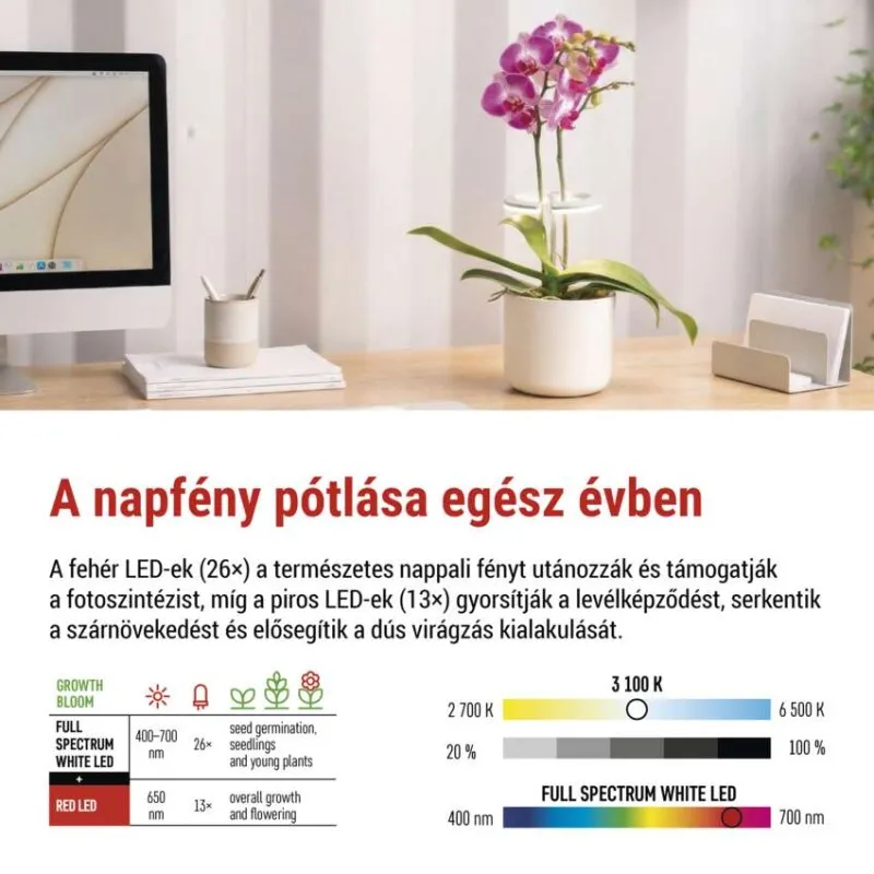 Egy íróasztal számítógéppel, orchideával és LED növénytermesztési útmutatóval.