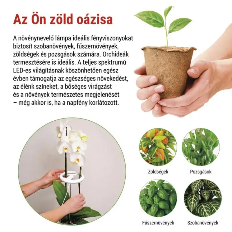 Kezek egy palántát tartanak egy cserépben. Alul: orchidea, paprika, fűszernövények és szobanövények.