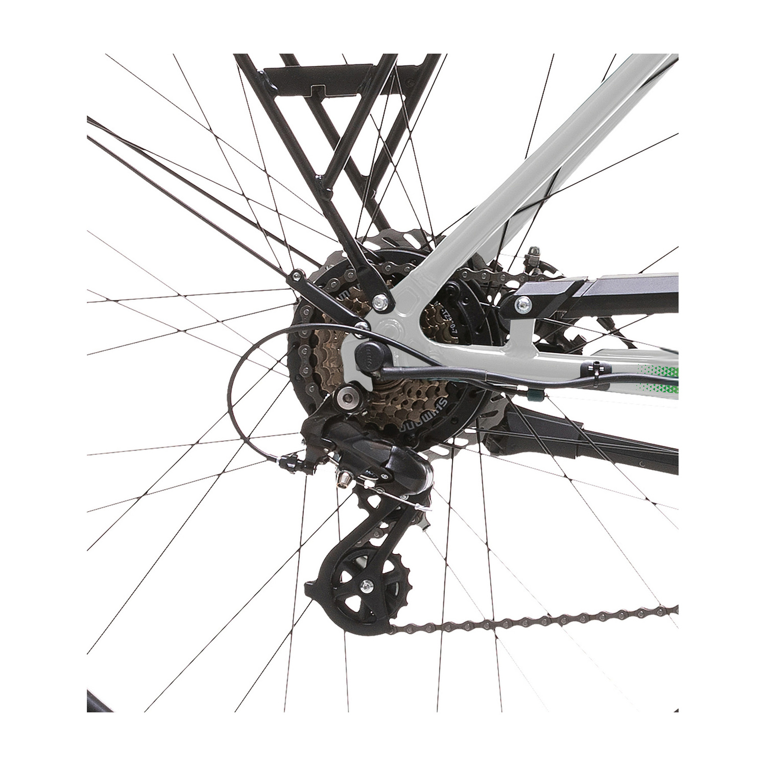 Primo piano del deragliatore posteriore e della catena di una bicicletta, con raggi e portapacchi.