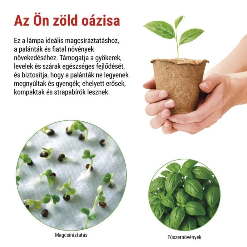 Kezek egy fiatal palántát tartanak cserépben; alul magok és fűszernövények.