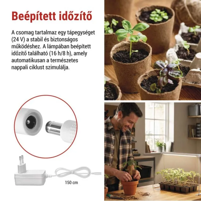 Egy férfi palántákat ültet növekedési lámpa alatt. Kis növénytartók vannak a közelben.