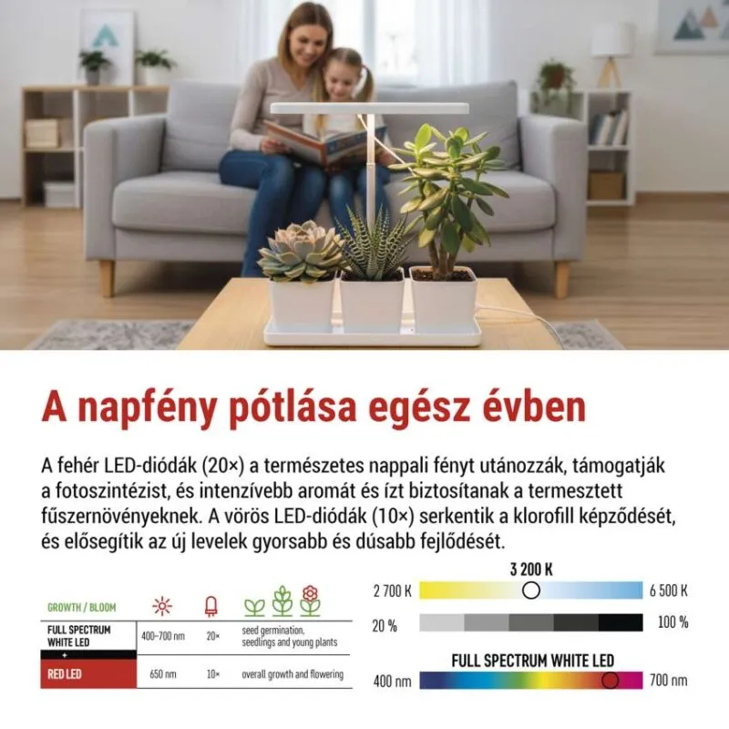 Nő és gyerek olvas könyvet növényi lámpa alatt. Diagram mutatja a fényeket.
