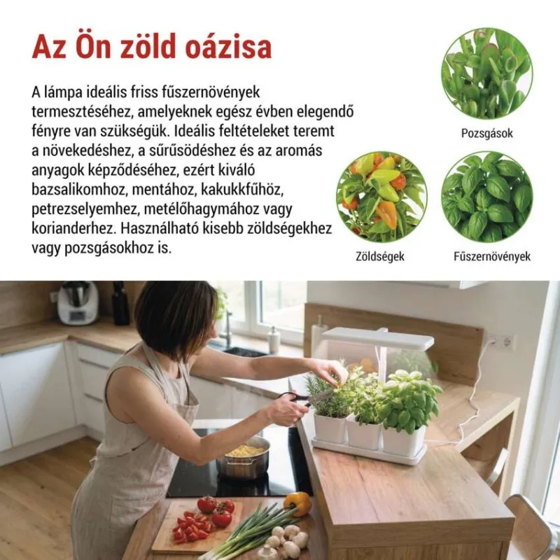 Egy nő fűszernövényeket vág egy beltéri kertben. Több fűszernövénypot a fa felületen.