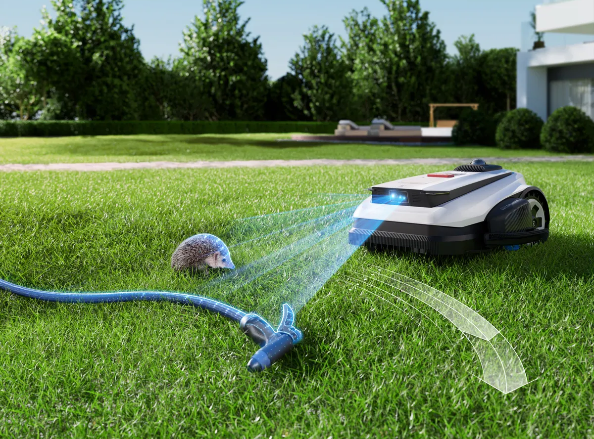 Ein Mähroboter nähert sich einem Igel auf einem Rasen. Ein Gartenschlauch liegt davor.