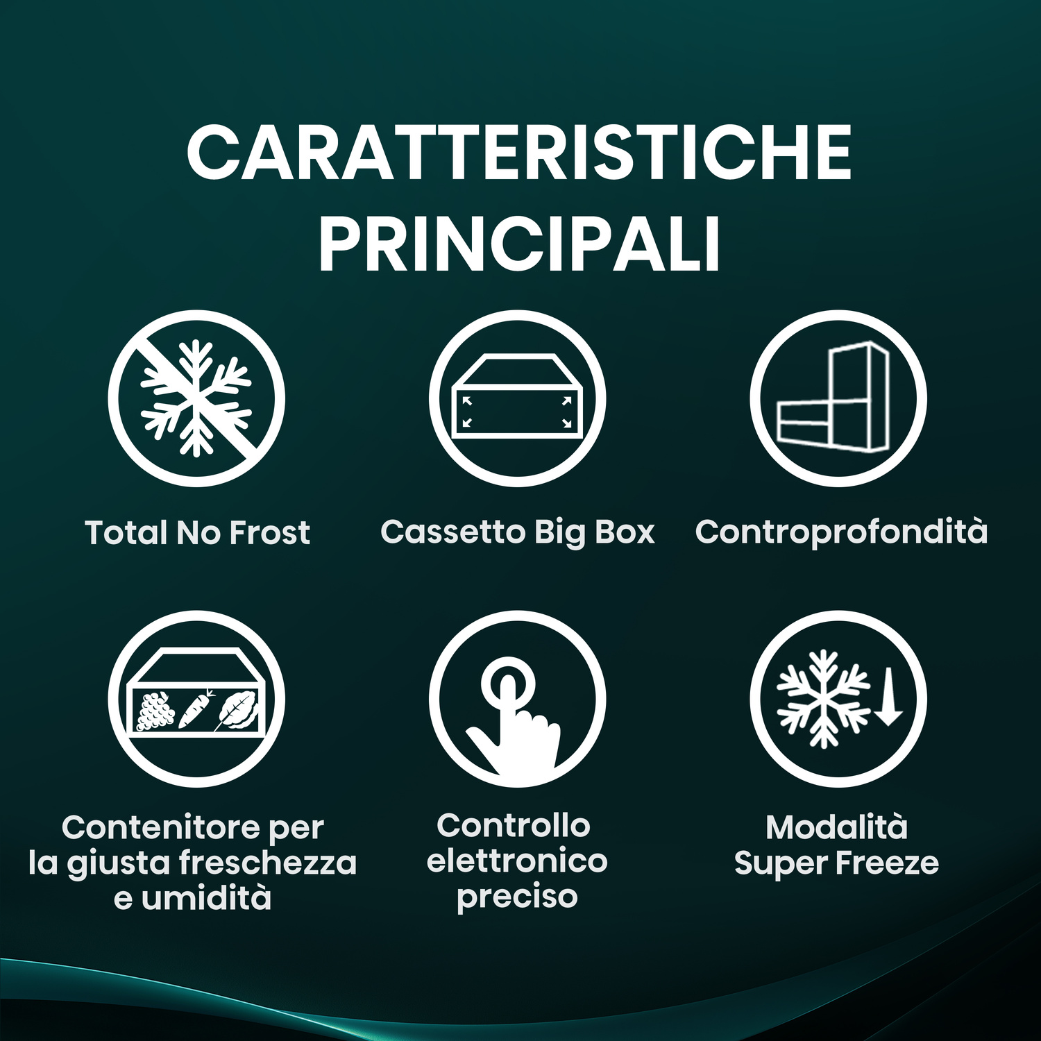 Icone funzioni frigorifero: No Frost, Big Box, Controllo profondità, Contenitore freschezza, Elettronico, Super Freeze.