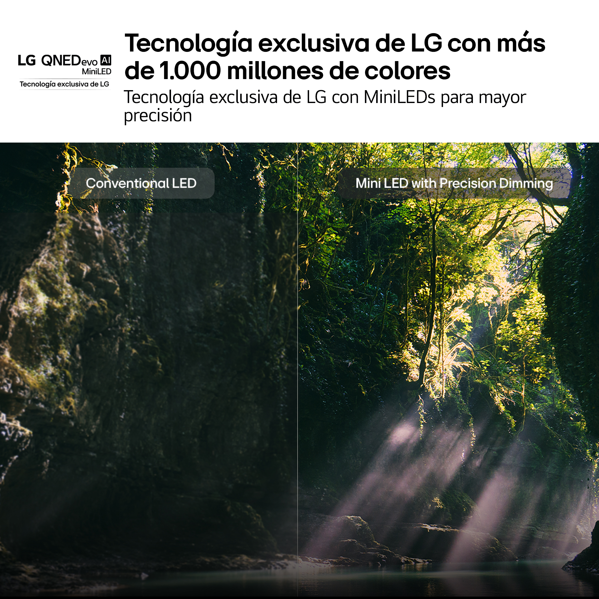 Comparación de LED convencional vs Mini LED con atenuación de precisión en un bosque.