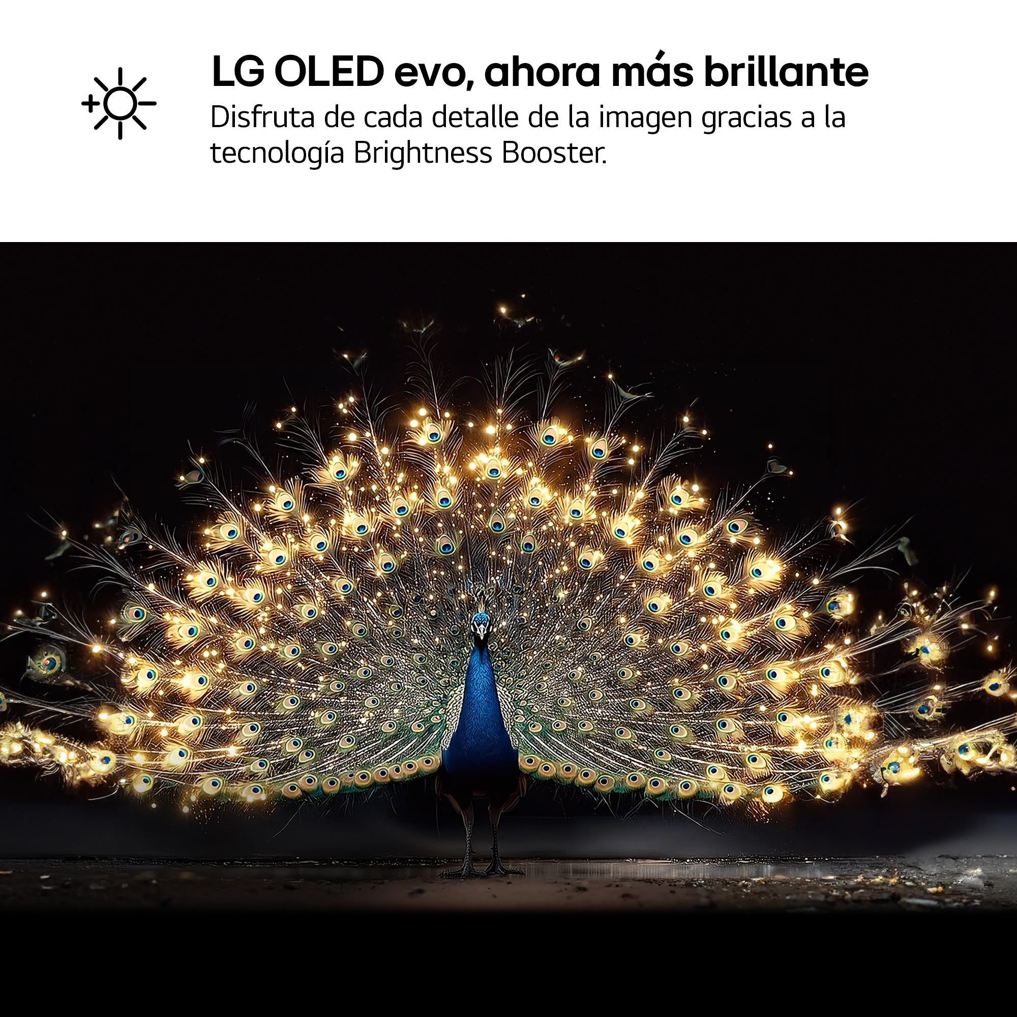 LG OLED evo, ahora más brillante. Disfruta de cada detalle de la imagen gracias a la tecnología Brightness Booster.