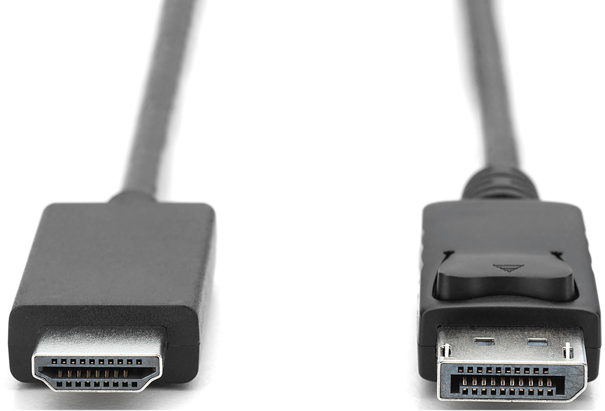 Ein DisplayPort- und ein HDMI-Kabelstecker auf weißem Hintergrund.