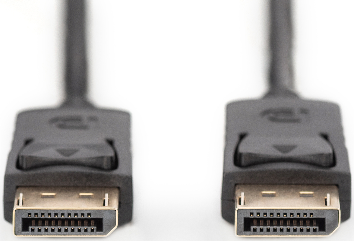 Zwei schwarze DisplayPort-Stecker mit goldenen Kontakten und Entriegelungshebeln.