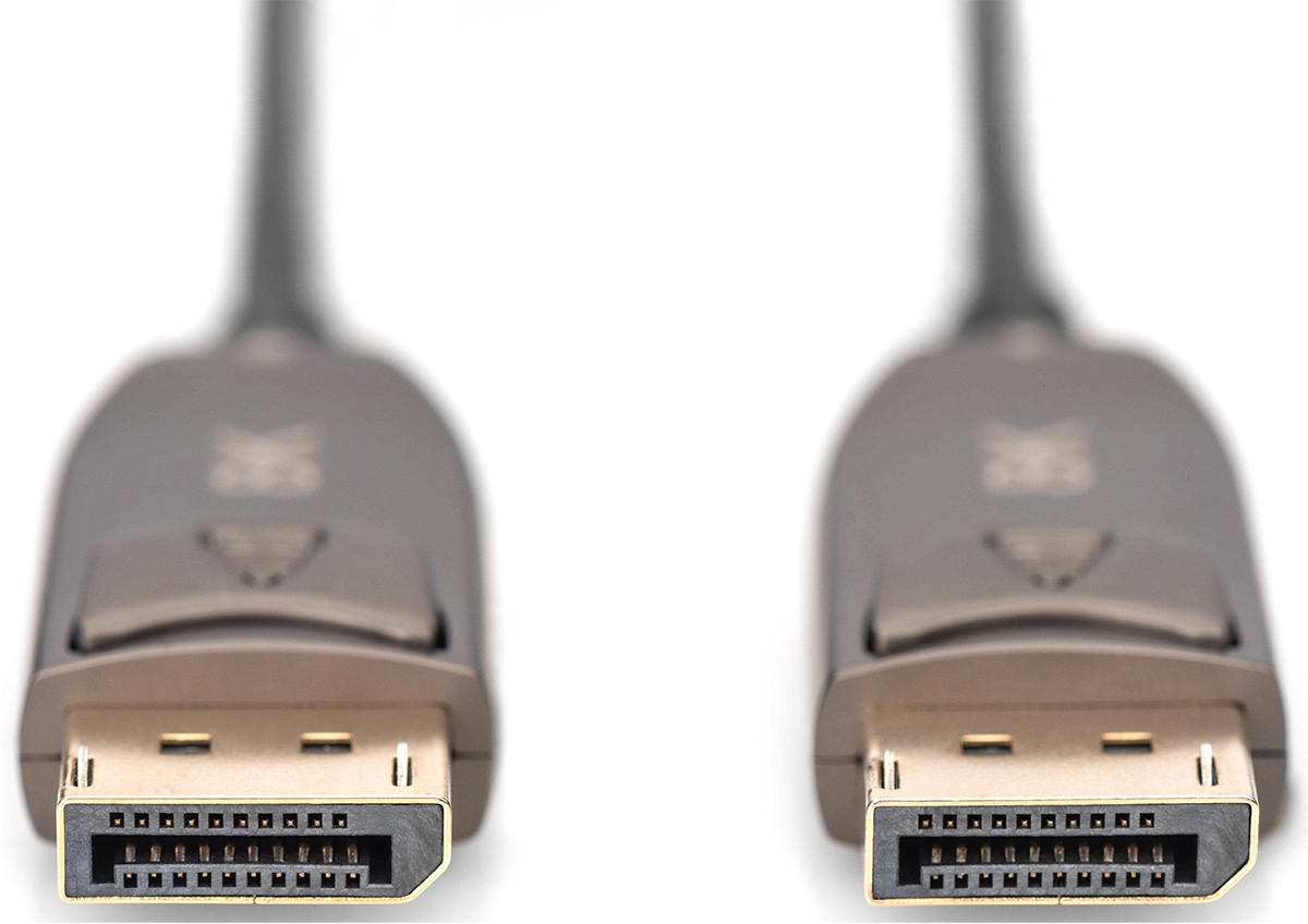 Zwei DisplayPort-Stecker mit grauen Gehäusen und goldenen Kontakten auf weißem Hintergrund.
