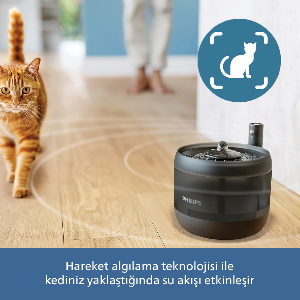 Turuncu bir kedi evcil hayvan çeşmesine yaklaşıyor. Hareket algılama su akışını etkinleştirir.