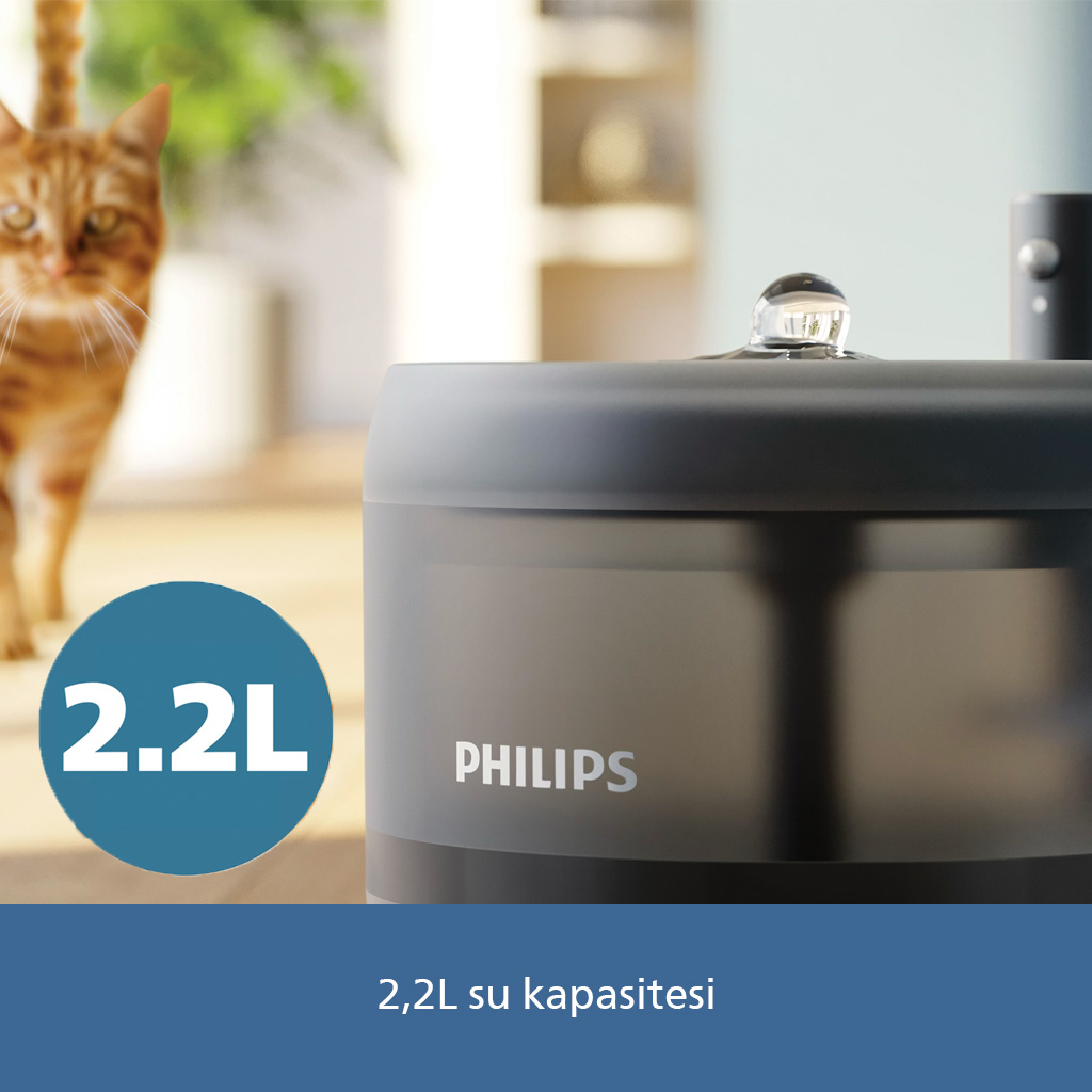 Turuncu kedi, 2,2L kapasiteli Philips nemlendiricinin yanından geçiyor.