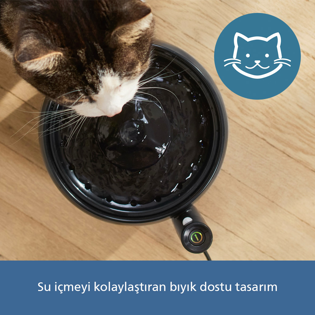 Mavi kedi başı ikonlu siyah tastan su içen kedi.