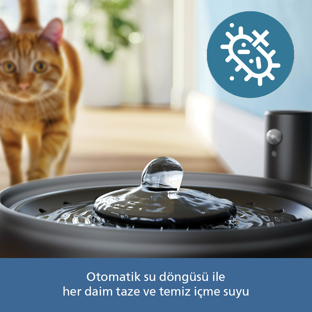 Turuncu bir kedi, bakteri simgeli evcil hayvan su sebeline yaklaşıyor.