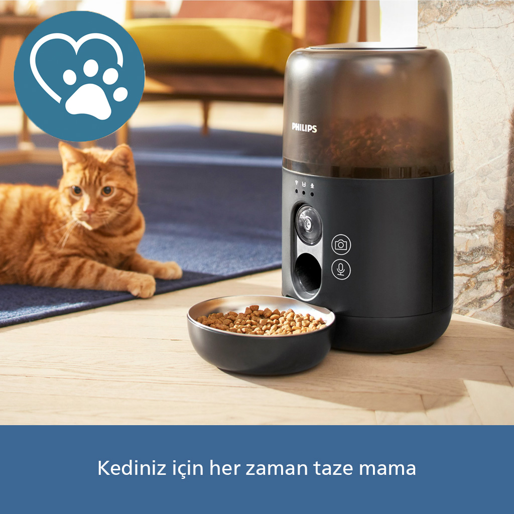 Turuncu bir kedi, mama kabının ve mama dolu bir kabın yanında yatıyor.