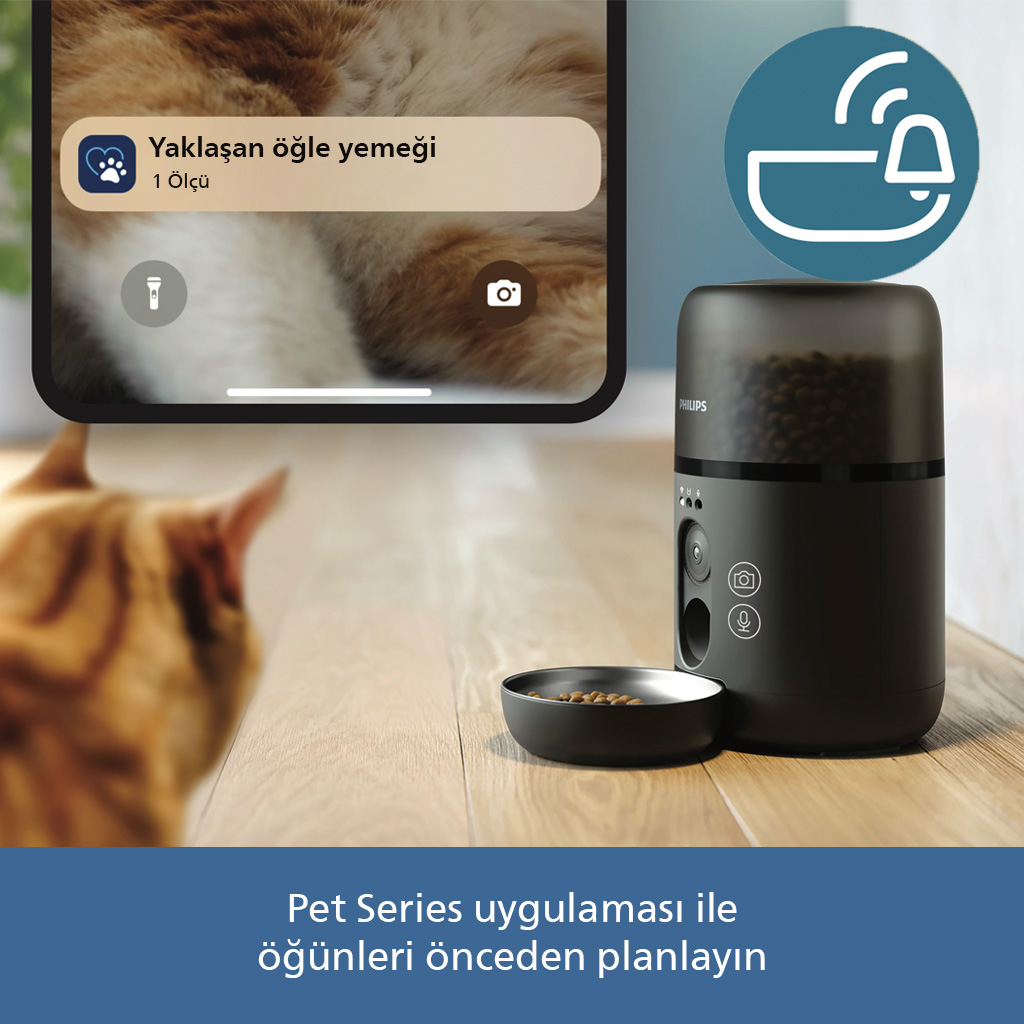Otomatik evcil hayvan mama kabı, mama dolu bir kase yanında, telefon ekranında bildirim gösteriyor.