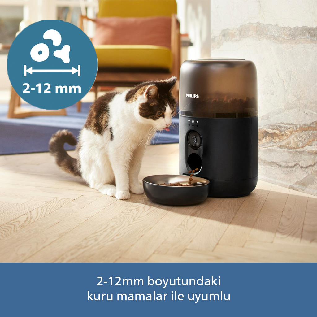 Mama dağıtıcıdan bir kaseye dökülürken kedi dudaklarını yaliyor.