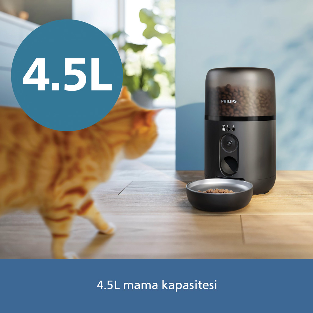 Turuncu bir kedi mama otomatına yürüyor. 4,5L kapasite.
