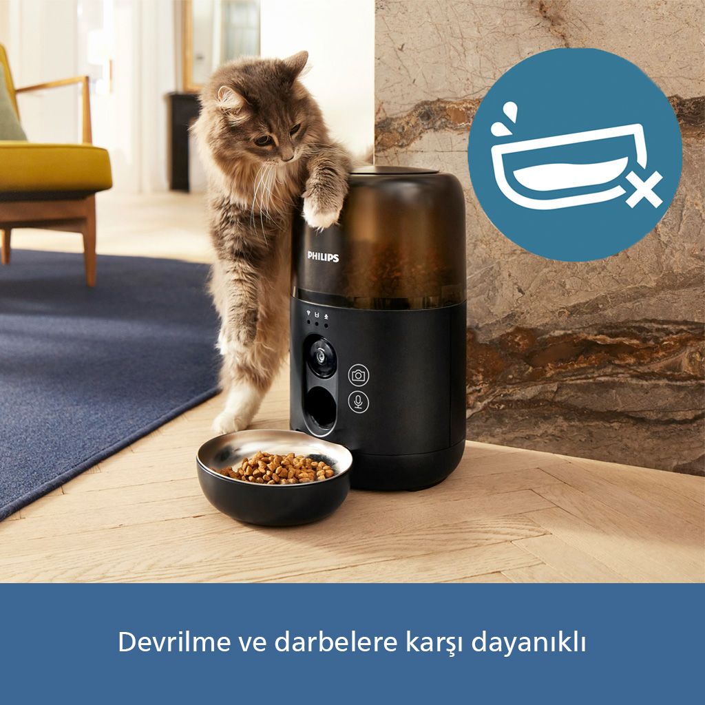 Bir kedi, yanında mama kabı bulunan bir evcil hayvan mama kabına doğru eğiliyor.