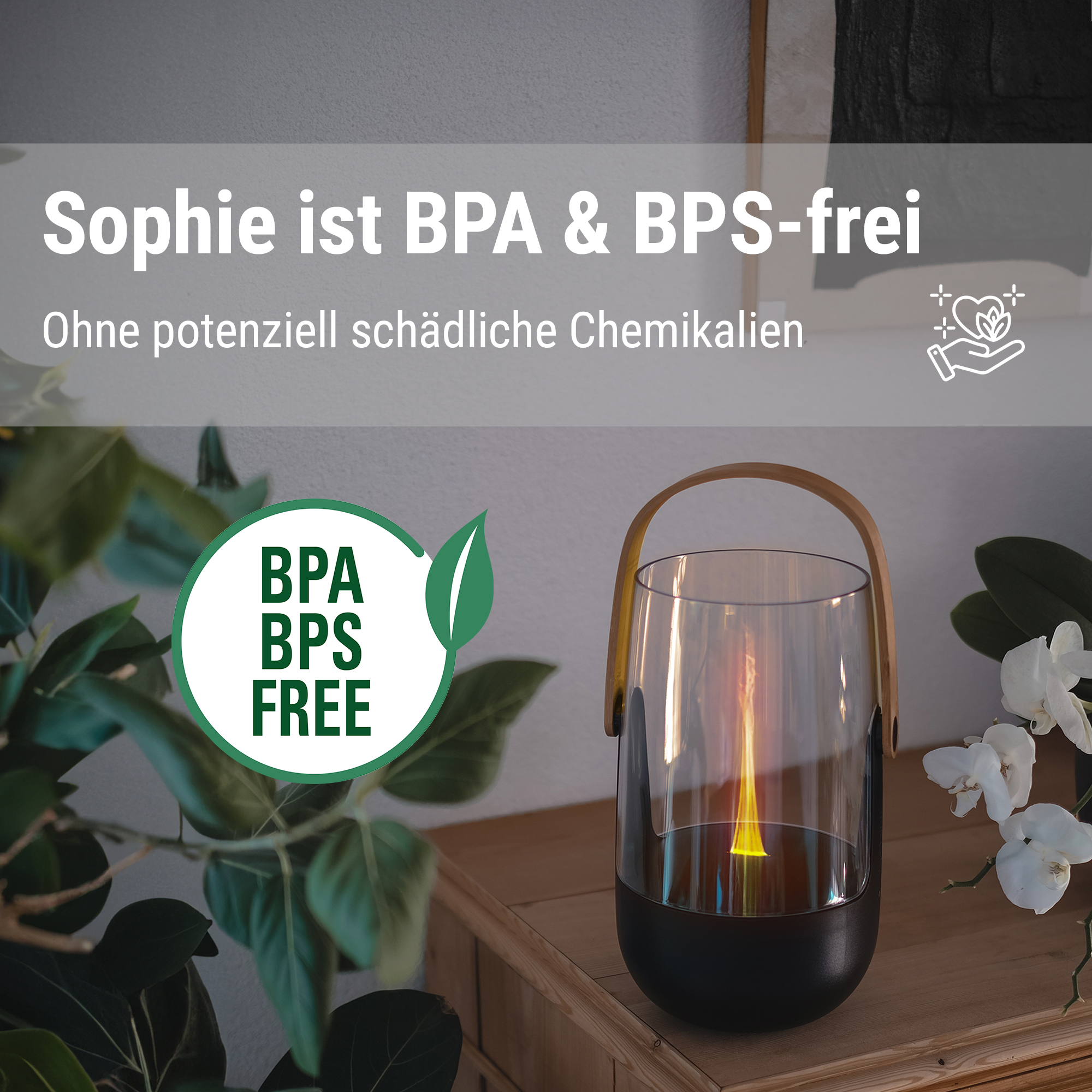 Ein Glas-Kamin mit Flammen, daneben Pflanzen und Blumen.