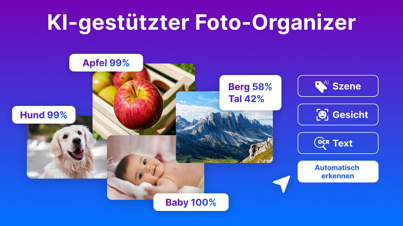 KI-Foto-Organizer mit Hund, Äpfeln, Berglandschaft und Baby.
