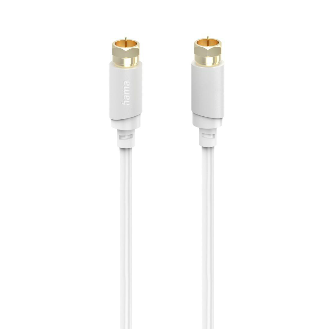 Zwei weiße Koaxialkabelstecker mit goldenen Spitzen auf weißem Hintergrund.