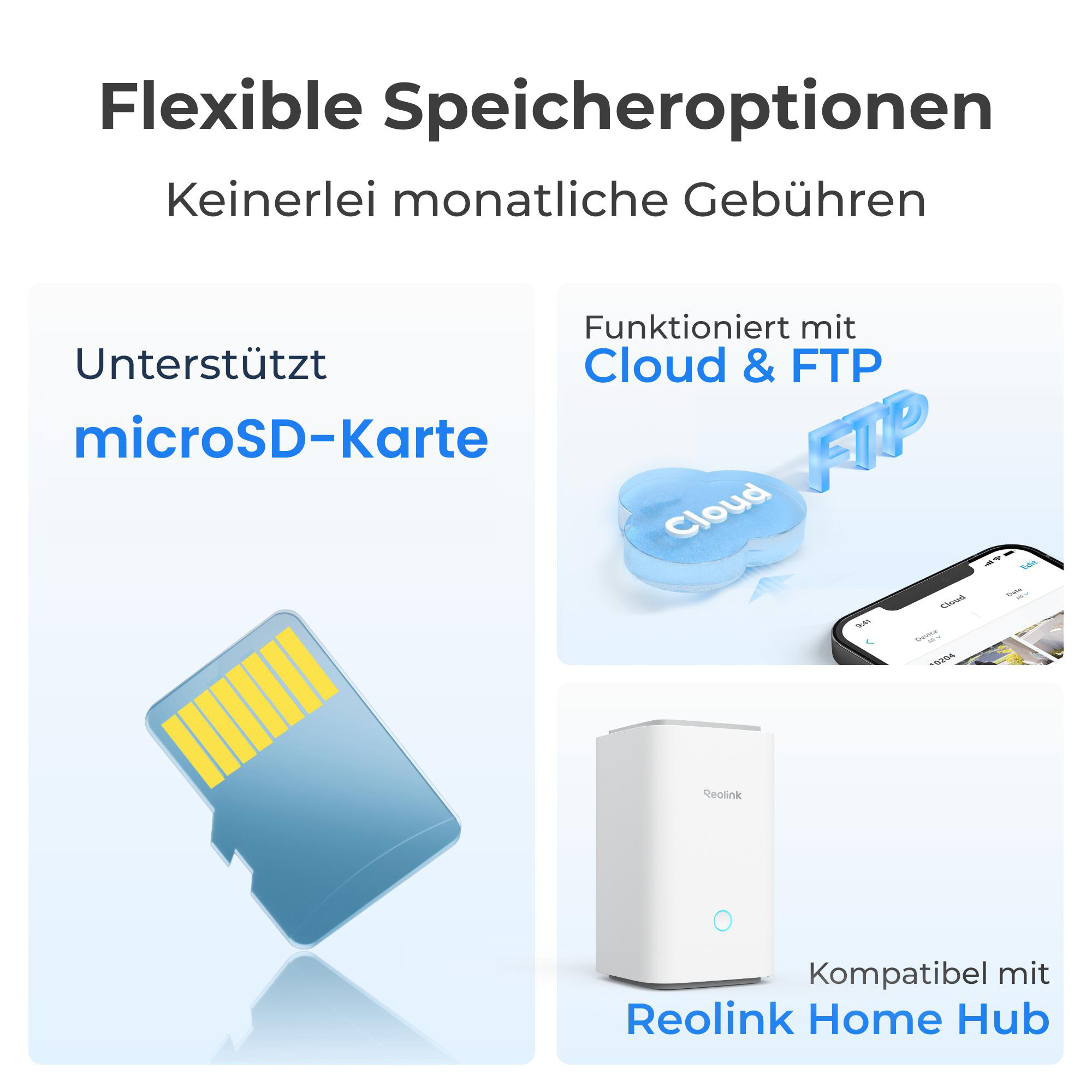 Illustrationen von microSD-Karte, Cloud, FTP und Reolink Home Hub.