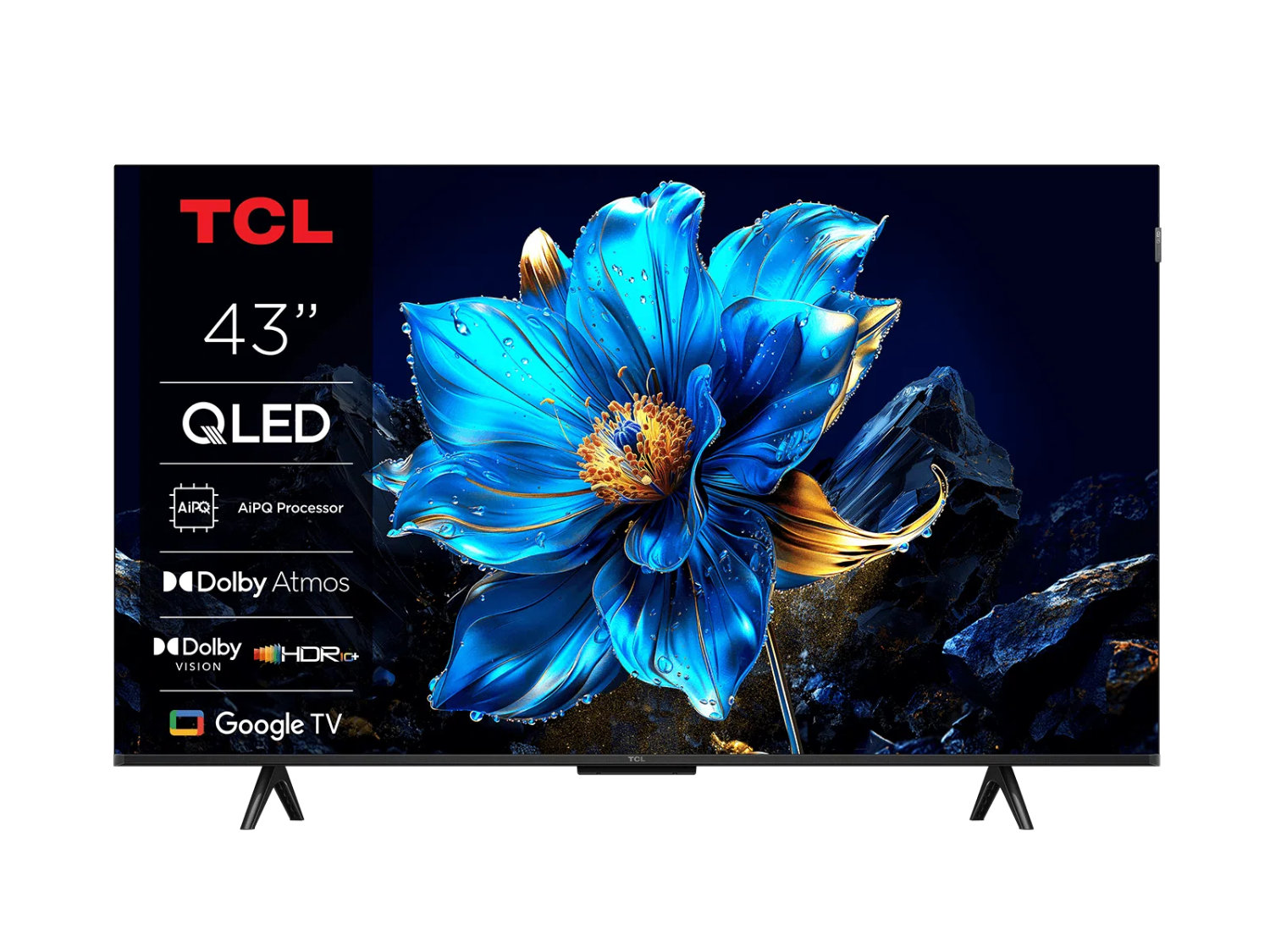 TV TCL 43" QLED con flor azul vibrante y Dolby Vision/Atmos.