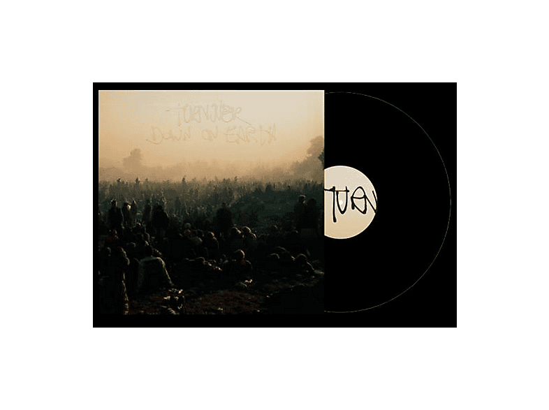 Turnover - Down on Earth - (Vinyl)