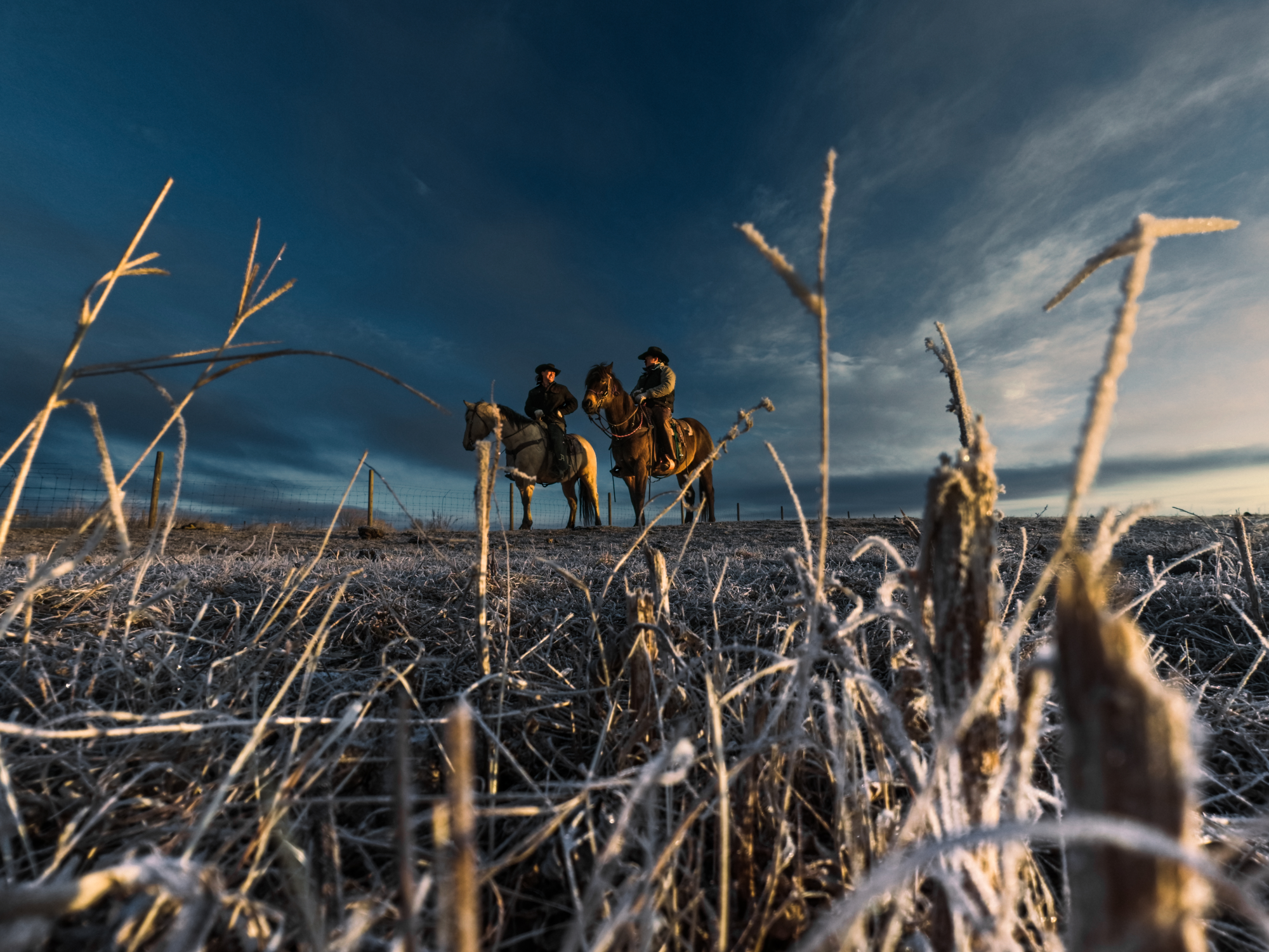 Zwei Reiter auf Pferden in der Morgendämmerung auf einem gefrorenen Feld