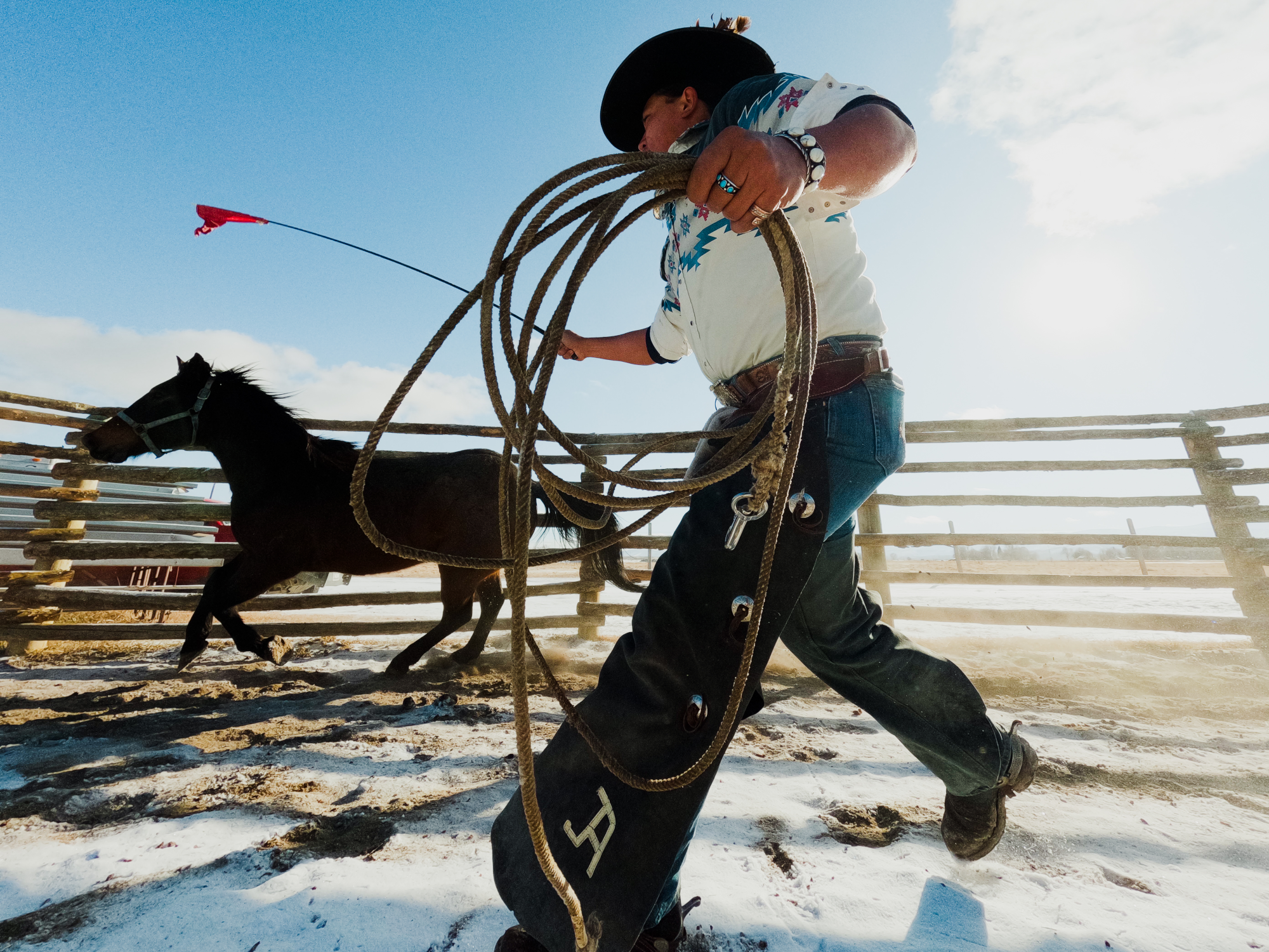 Cowboy lançant un lasso à un cheval en course dans une arène enneigée.