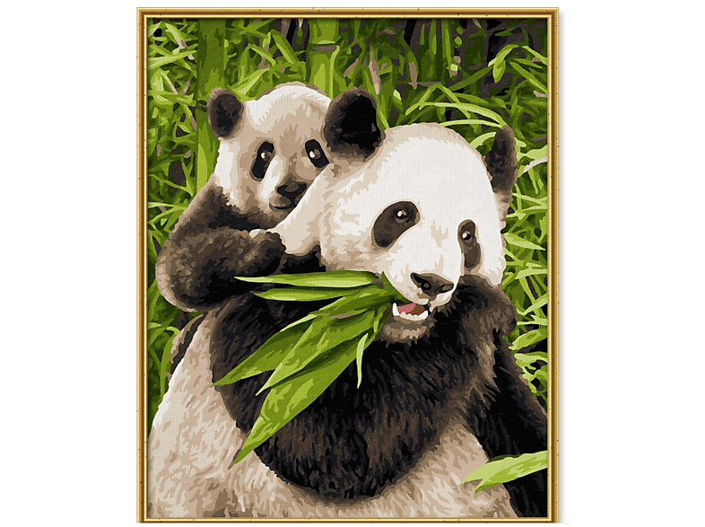 Simba Malen nach Zahlen: Pandabären