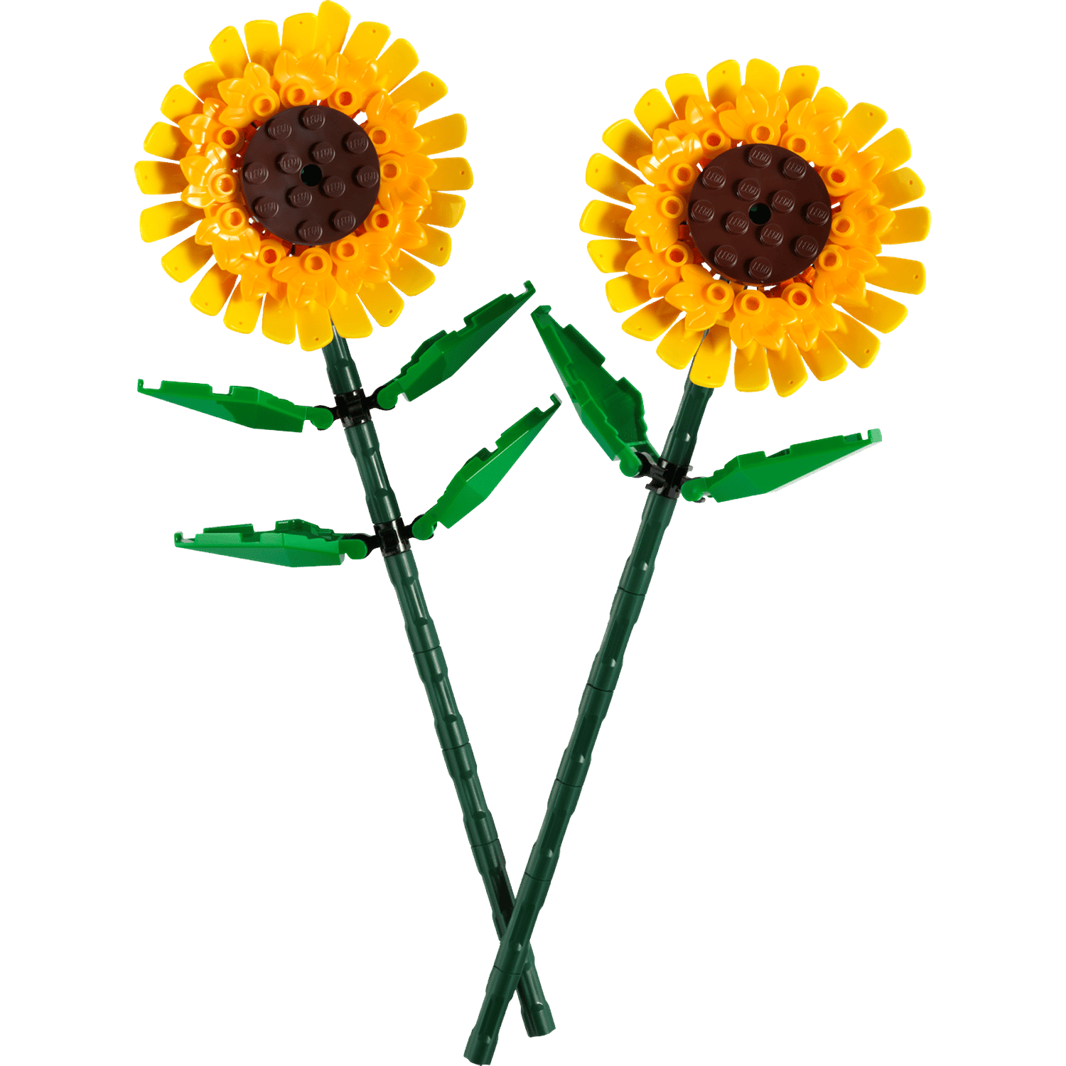 Two Lego sunflowers with yellow petals and brown centers on a black background.