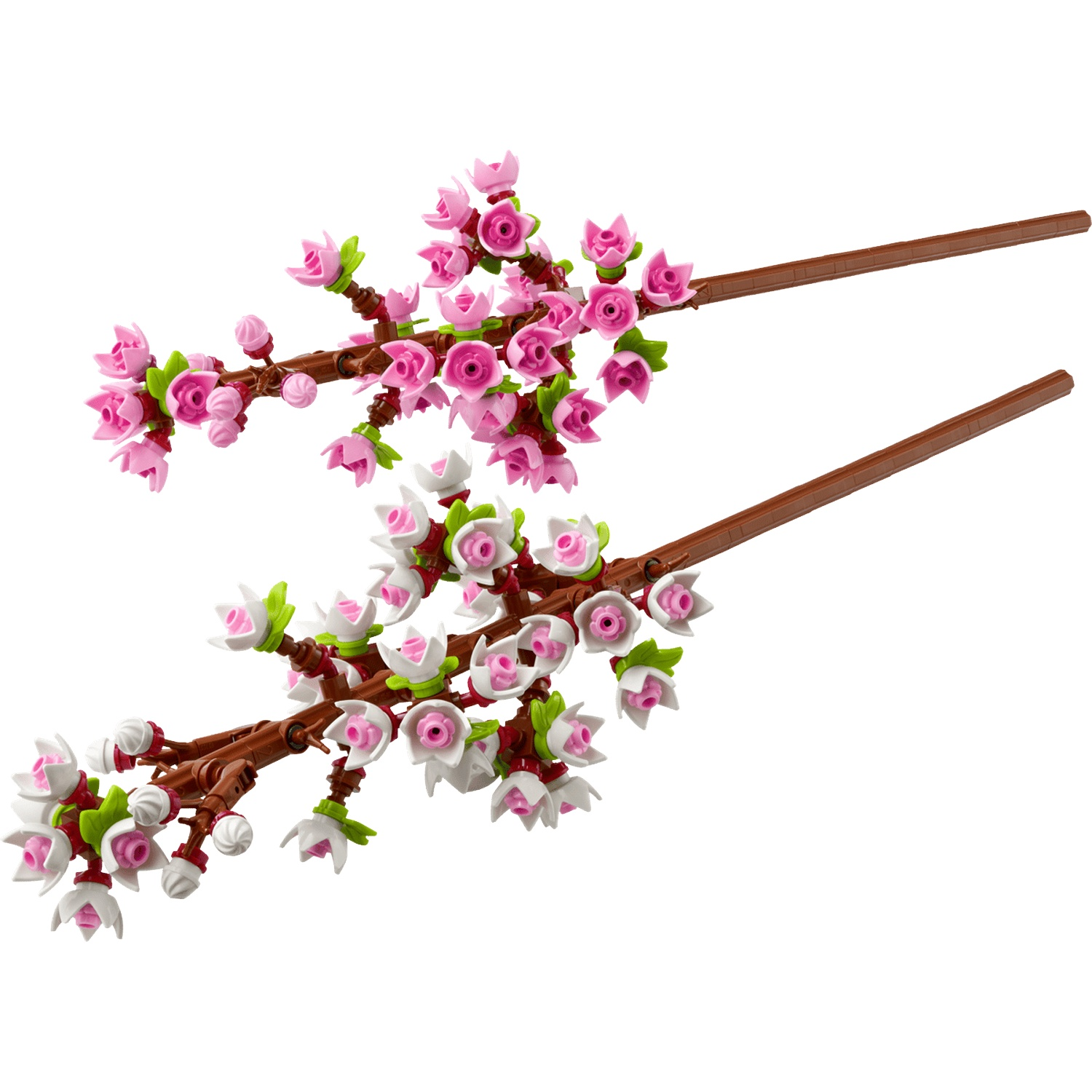 Twee bruine takken met roze en witte bloemen en groene bladeren op witte achtergrond.