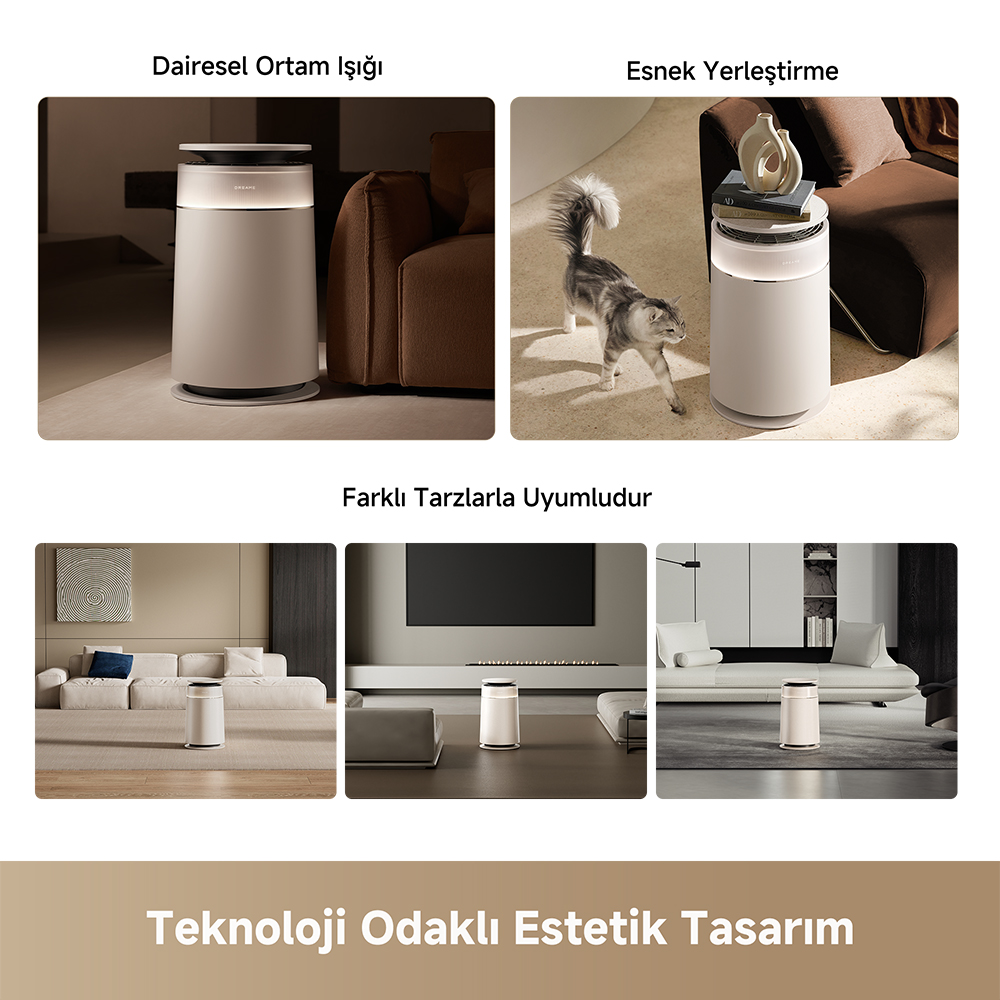 Hava temizleyici çeşitli yaşam alanlarında, kediyle ve karanlıkta.
