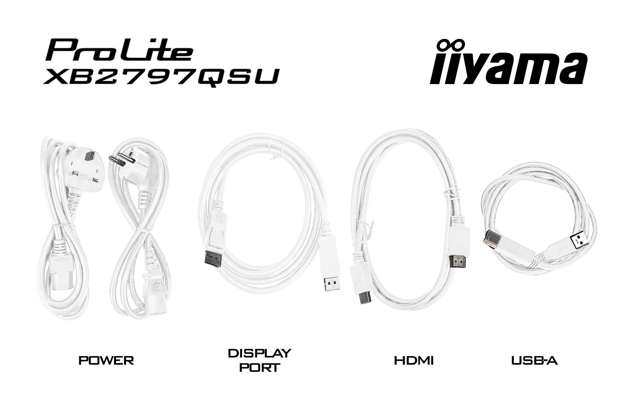 Vier weiße Kabel: Strom, DisplayPort, HDMI und USB-A, mit den Markennamen ProLite und iiyama.