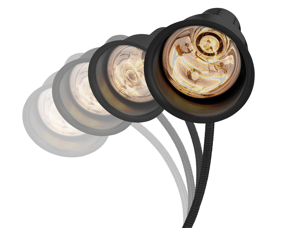 Eine Reihe von drei schwarzen Schreibtischlampen mit Glühbirnen auf einem weißen Hintergrund.