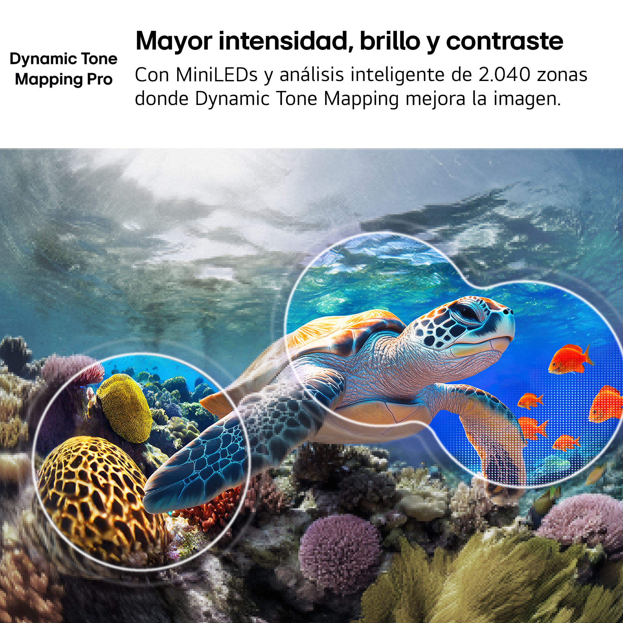 Una tortuga marina nada entre corales con peces pequeños.