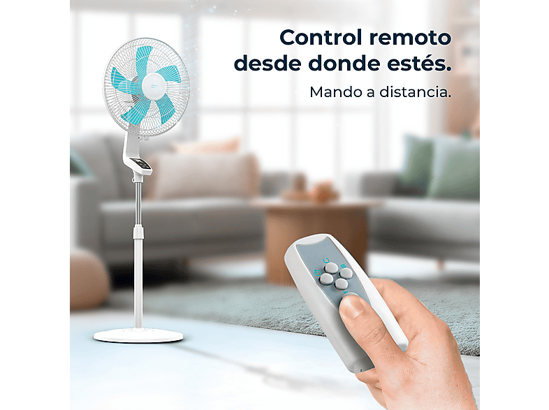 Vista 2