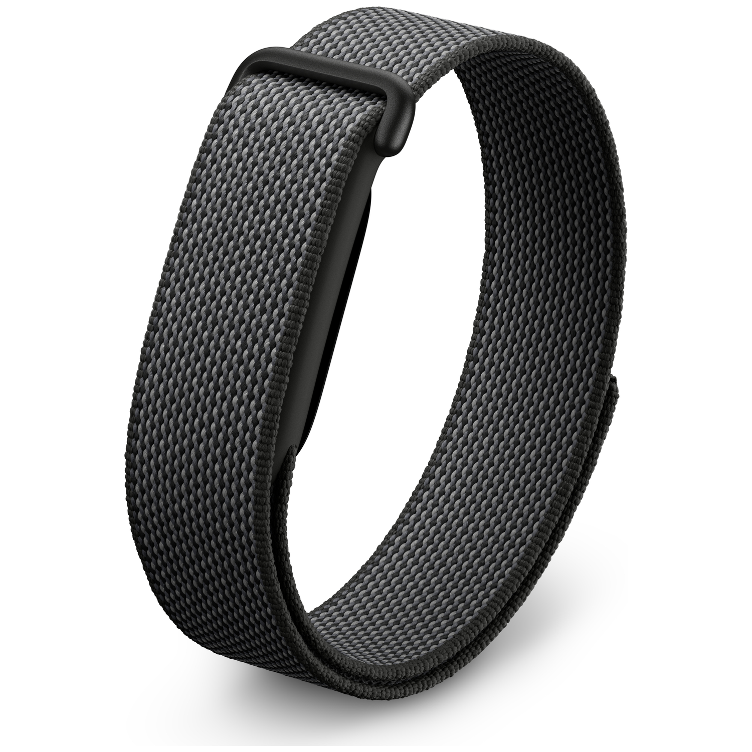 Gray fabric band with black buckle, on a white background.