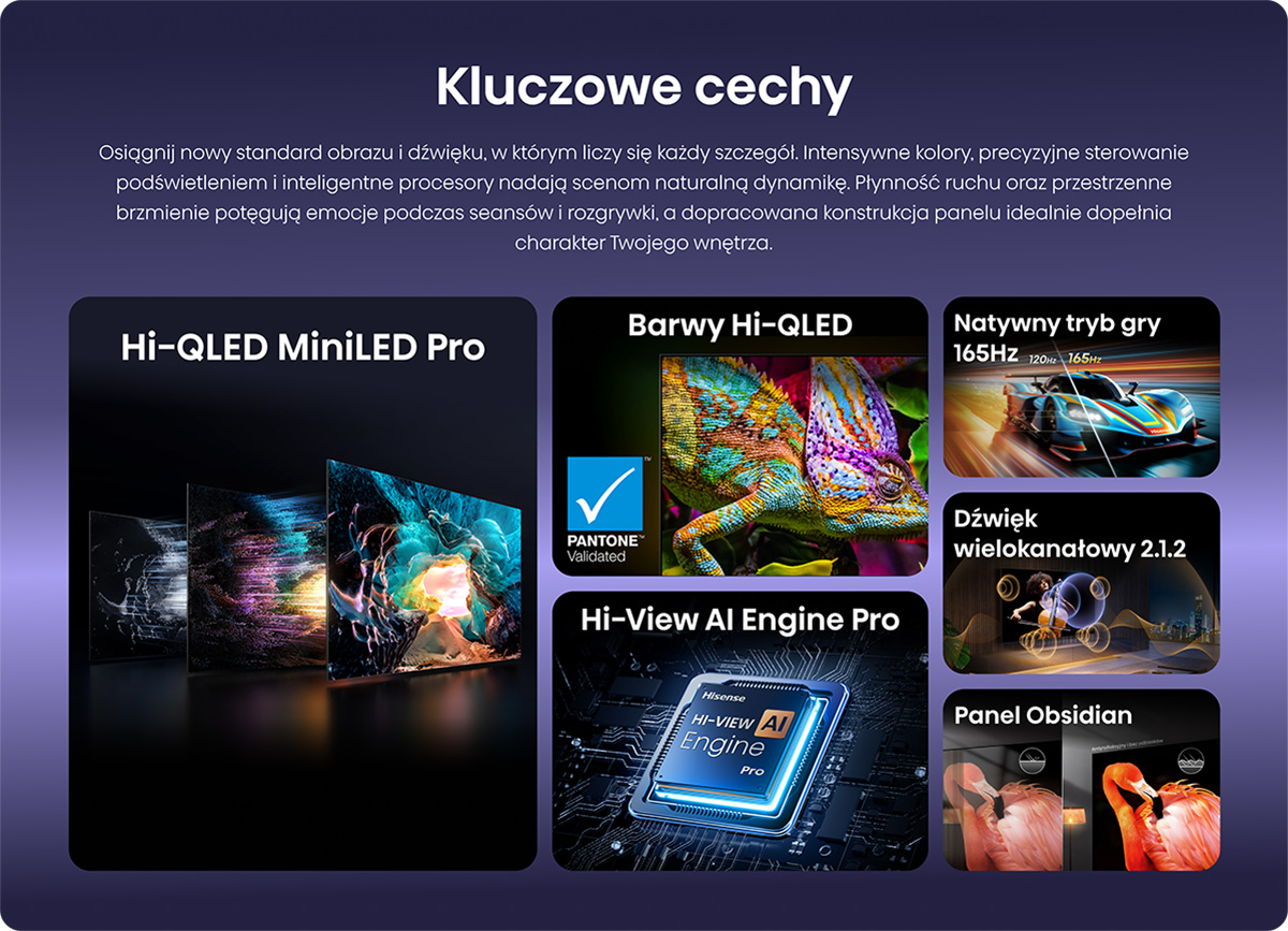Wiele ekranów, kameleon, samochód wyścigowy, głośniki i flamingi.