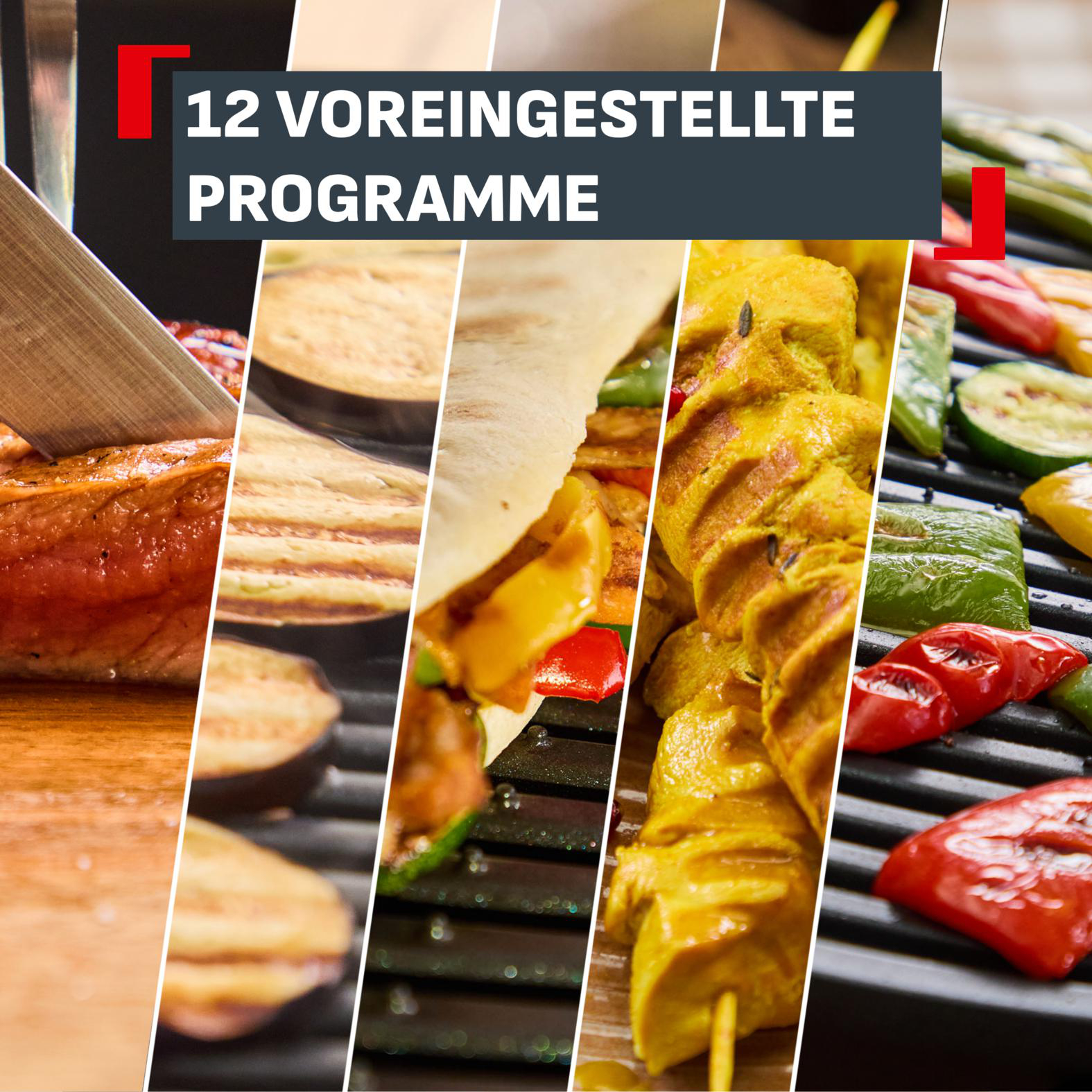 Collage von Grillgut: Steak, Auberginen, Spieße, Gemüse, Text '12 Programme'.